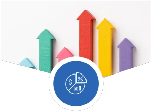 Company Profiles