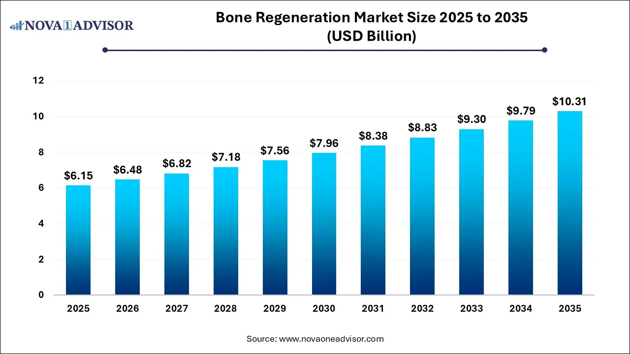 Bone Regeneration Market Size 2025 To 2035