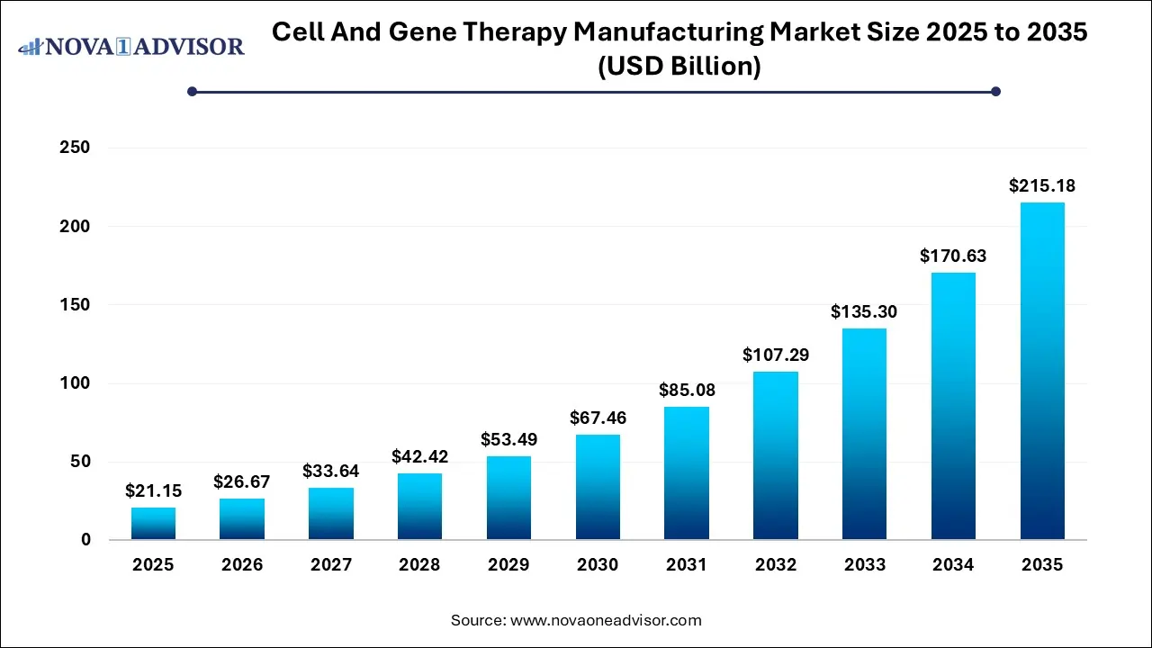 Cell And Gene Therapy Manufacturing Market Size 2025 To 2035