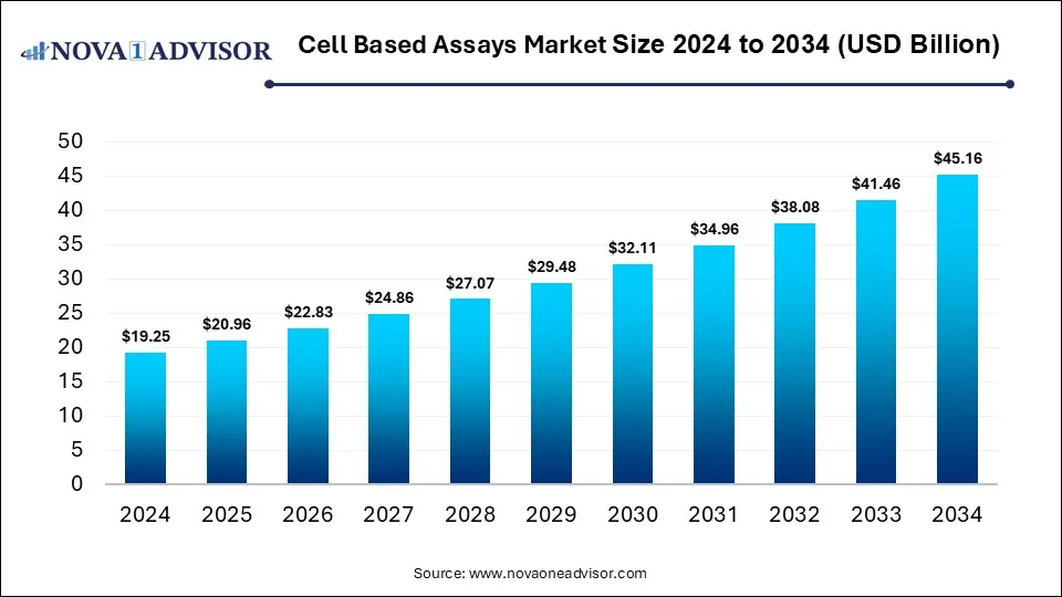 Cell-based Assays Market Size 2024 To 2034