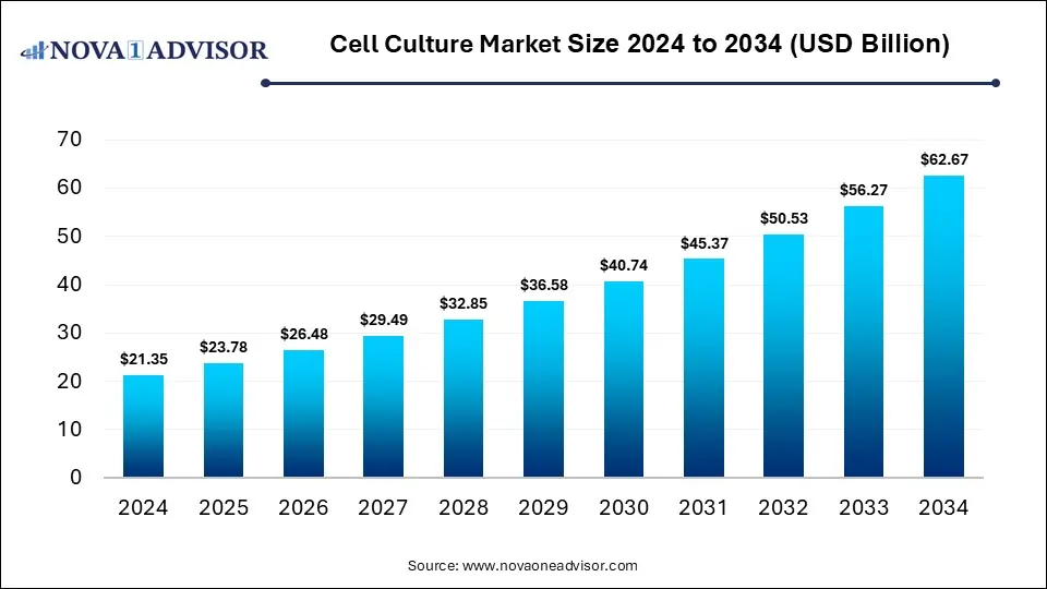 Cell Culture Market Size 2024 To 2034