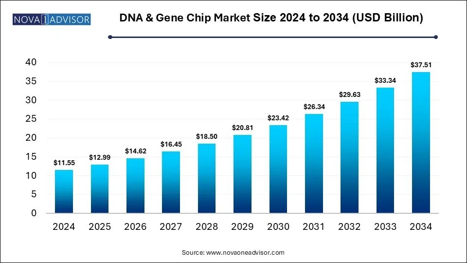 DNA & Gene Chip Market Size 2024 To 2034