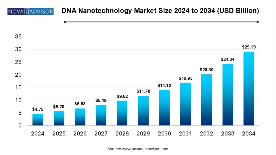 DNA Nanotechnology Market Size 2024 To 2034