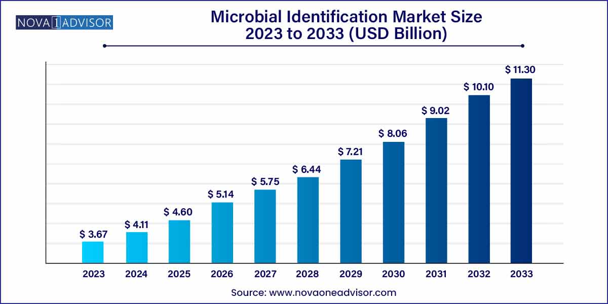 Microbial Identification Market Size 2024 To 2033