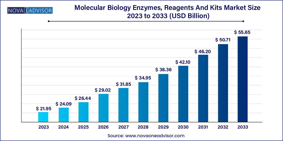 Molecular Biology Enzymes, Reagents And Kits Market Size 2024 To 2033