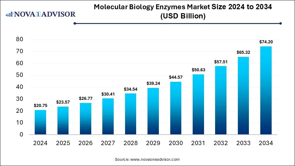Molecular Biology Enzymes Market Size 2024 To 2034