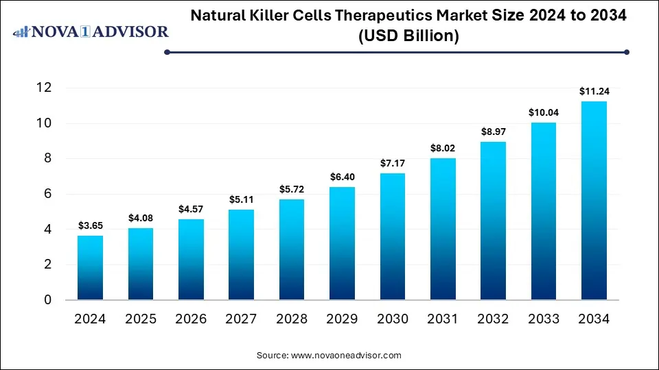 Natural Killer Cells Therapeutics Market Size 2024 To 2034