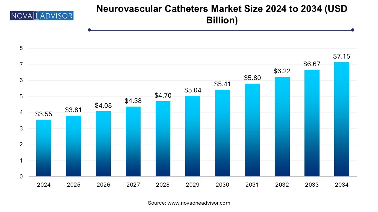 Neurovascular Catheters Market Size 2024 To 2034