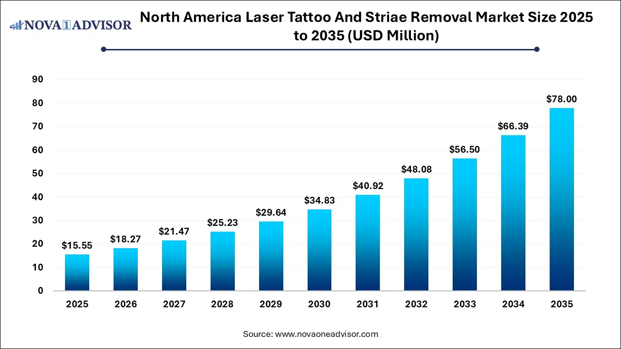 North America Laser Tattoo And Striae Removal Market Size 2025 To 2035 North America Laser Tattoo And Striae Removal Market Size 2025 To 2035
