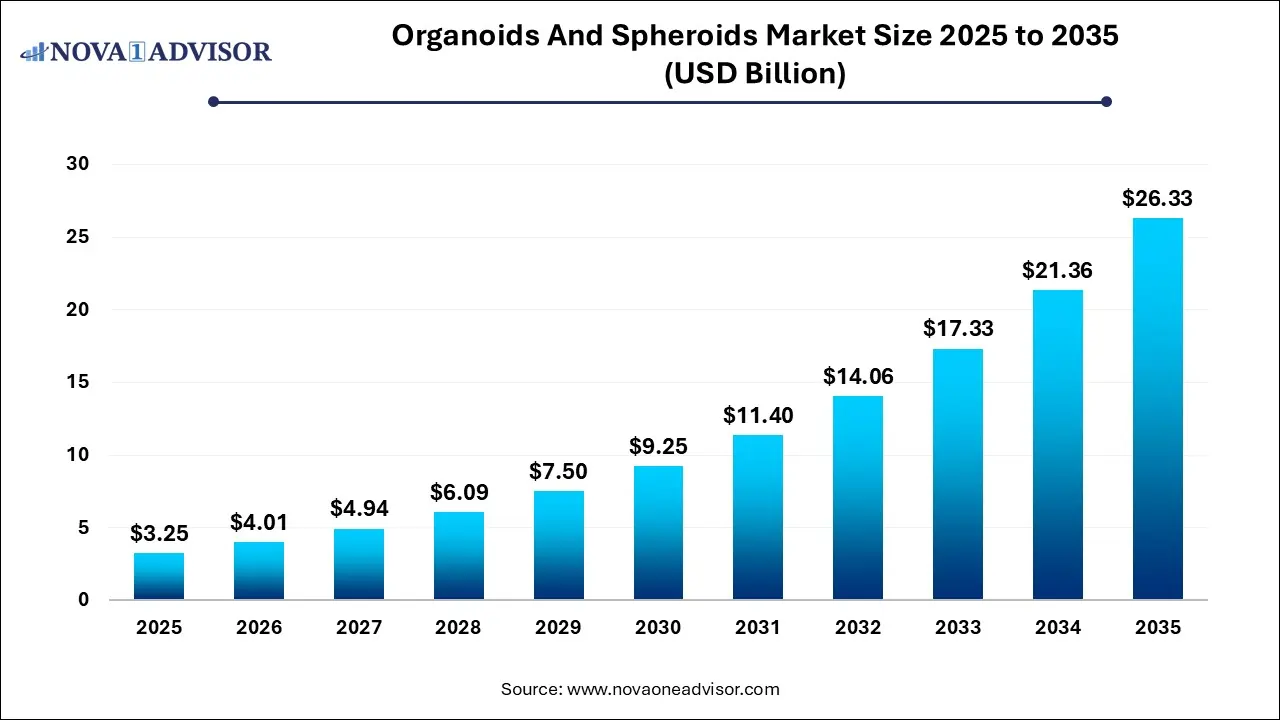 Organoids And Spheroids Market Size 2025 To 2035