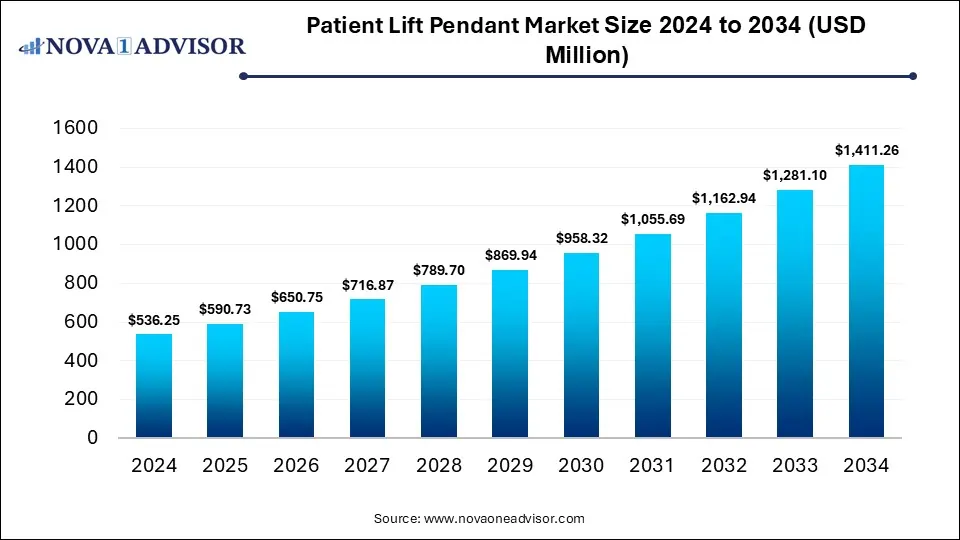 Patient Lift Pendant Market Size 2024 To 2034