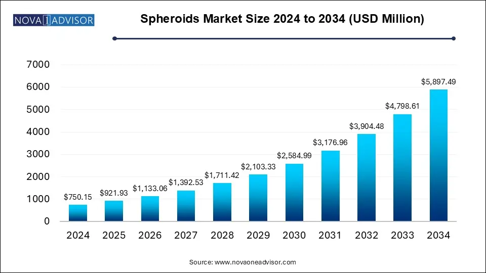 Spheroids Market Size 2024 To 2034