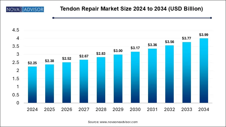 Tendon Repair Market Size 2024 To 2034