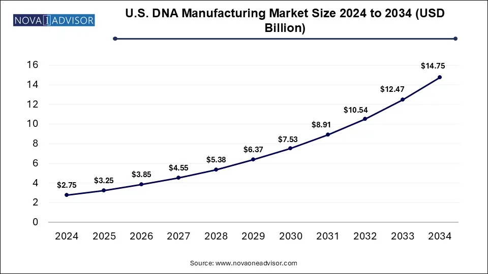 U.S. DNA Manufacturing Market Size 2024 To 2034