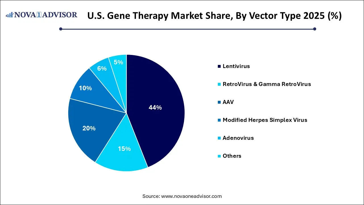 U.S. Gene Therapy Market Share, By Vector Type 2025 (%)