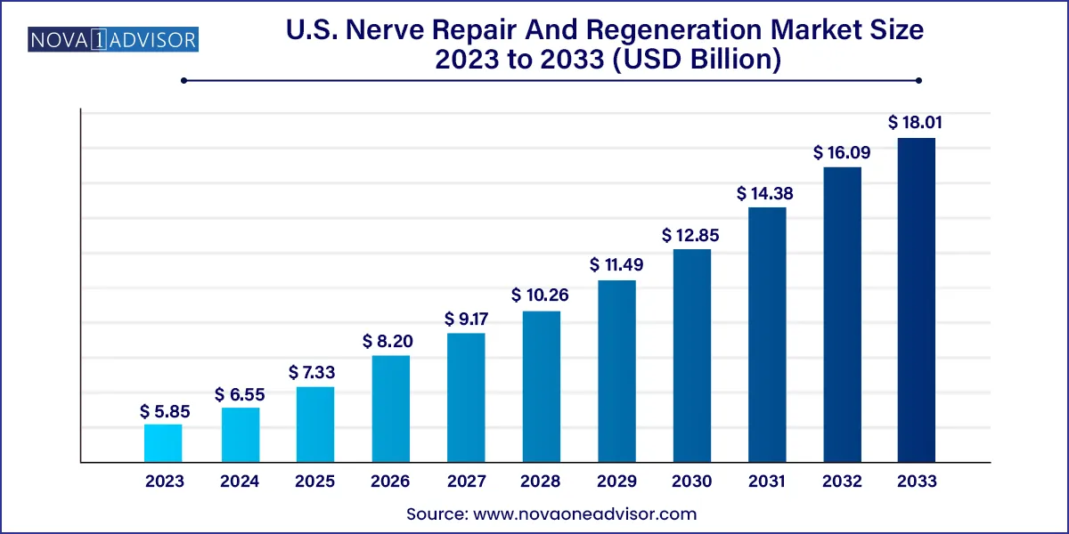 U.S. Nerve Repair And Regeneration Market Size, 2024 to 2033