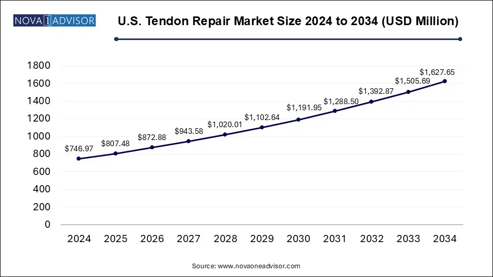 U.S. Tendon Repair Market Size 2024 To 2034