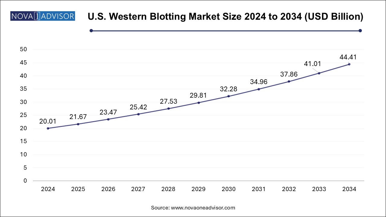 U.S. Western Blotting Market Size 2024 To 2034