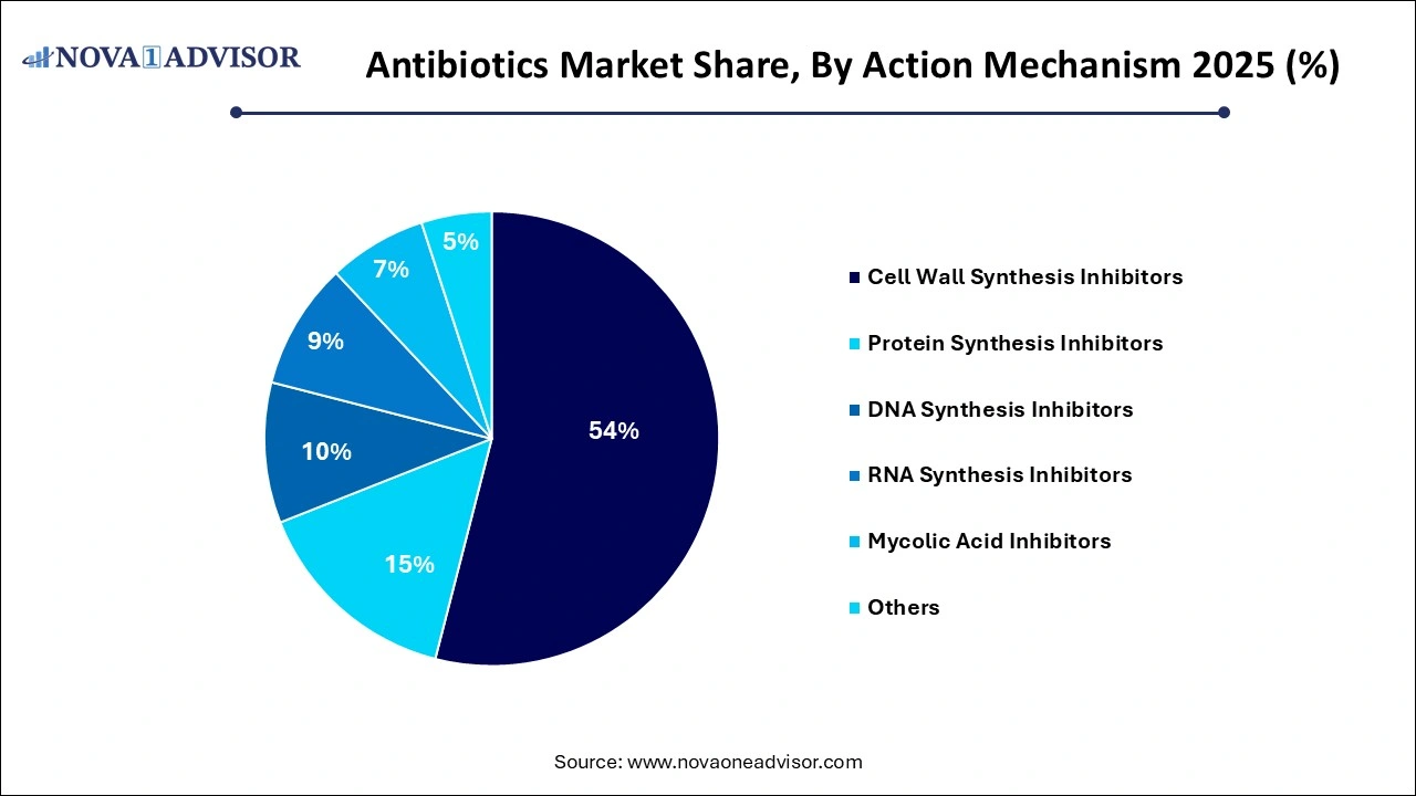 Antibiotics Market Share, By Action Mechanism