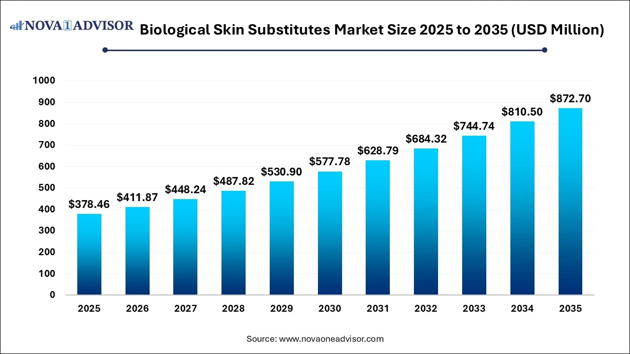 Biological Skin Substitutes Market Size 2026 to 2035 Biological Skin Substitutes Market Size 2026 to 2035