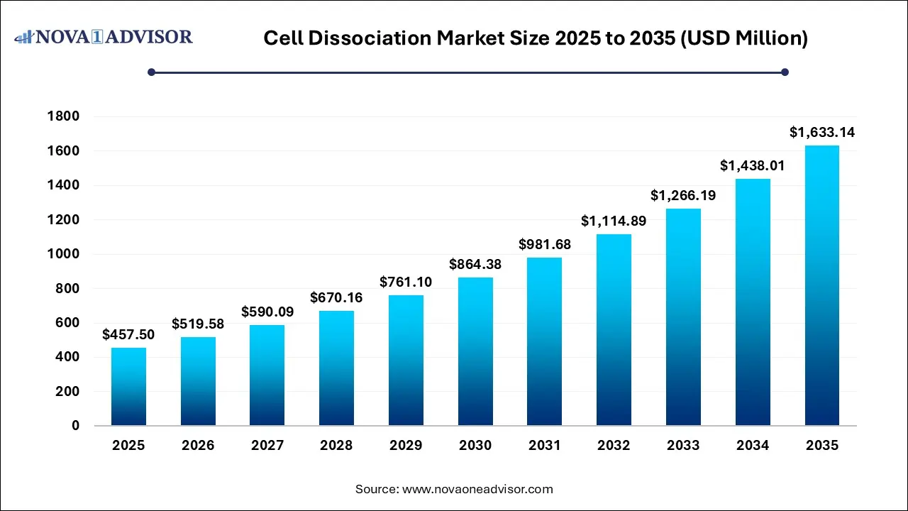 Cell Dissociation Market Size 2025 To 2035