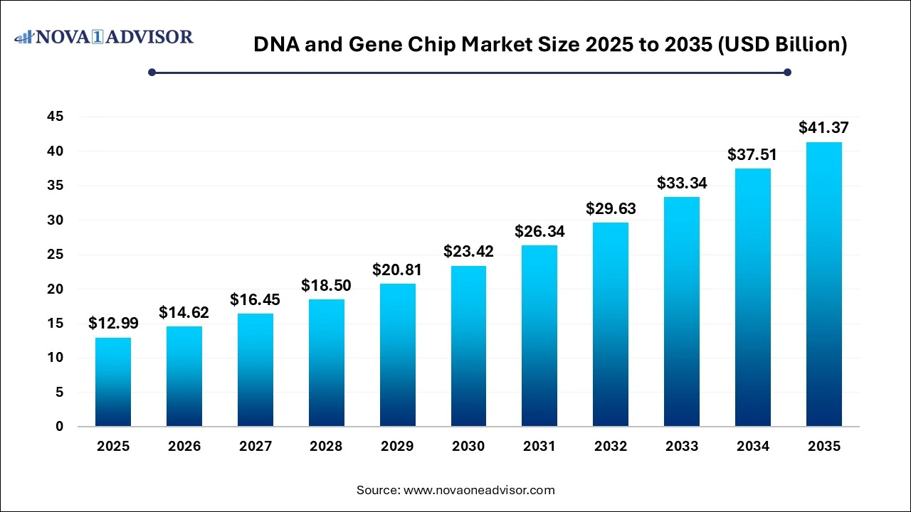 DNA and Gene Chip Market Size 2026 to 2035