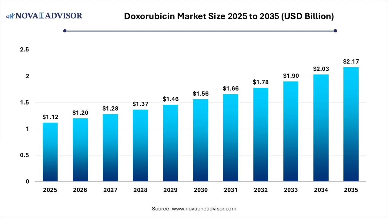 Doxorubicin Market Size 2025 To 2035