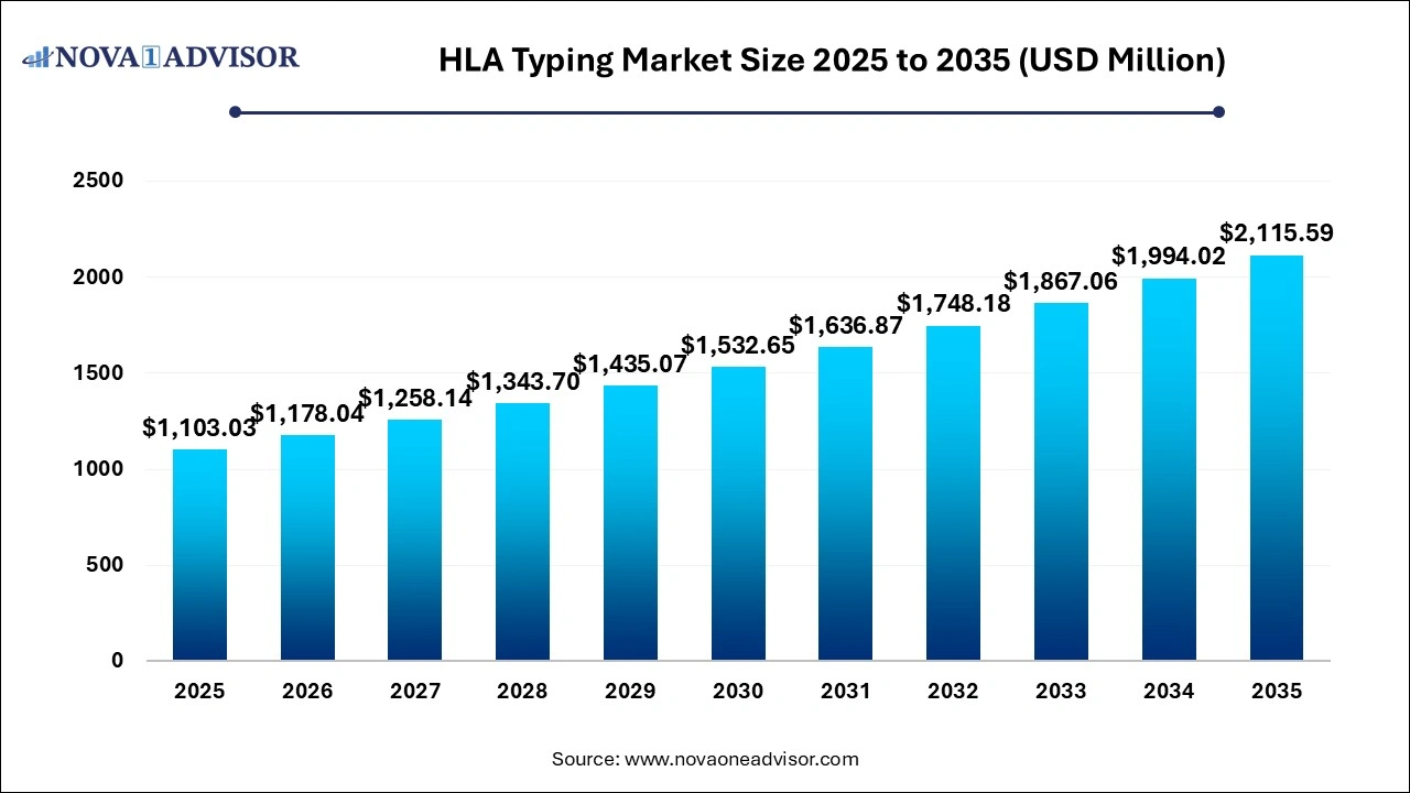 HLA Typing Market Size 2025 to 2035