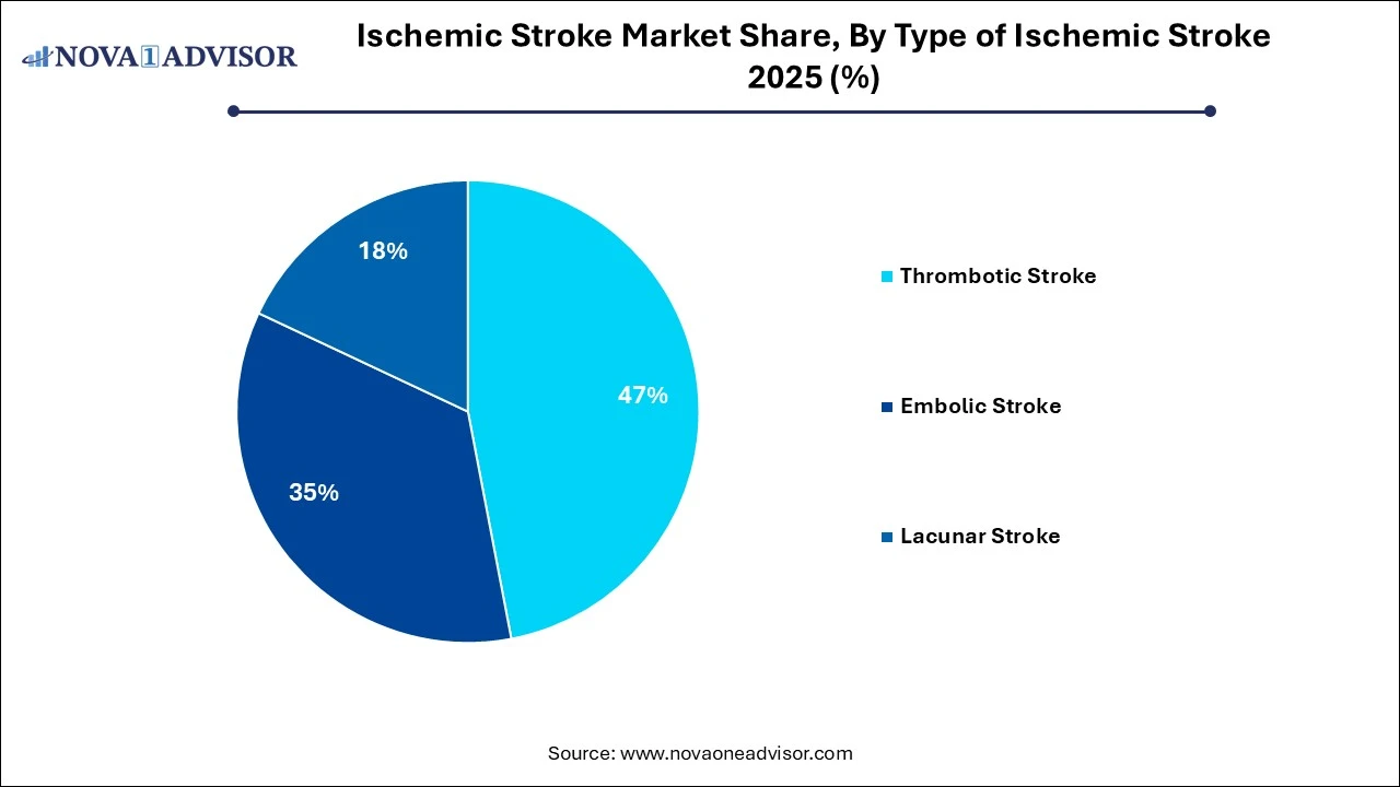 Ischemic Stroke Market Share, By Type of Ischemic Stroke 2025 (%)