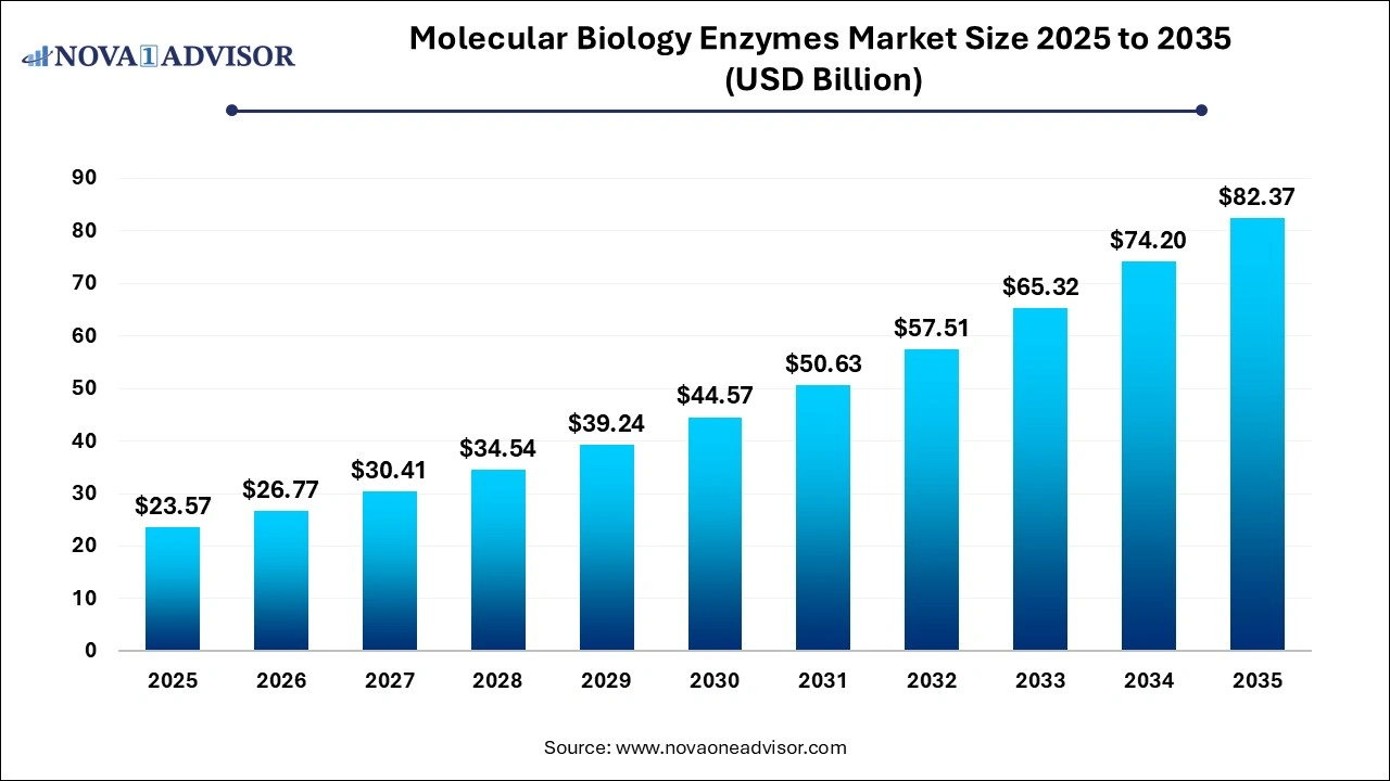 Stem Cell Therapy Market Size 2025 to 2035