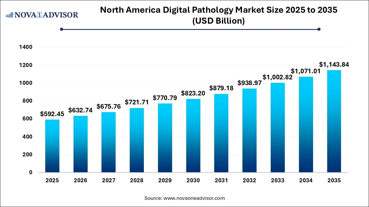North America Digital Pathology Market Size 2025 to 2035 North America Digital Pathology Market Size 2025 to 2035