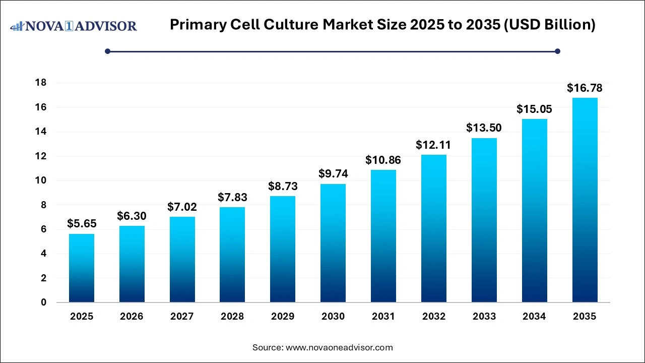 Primary Cell Culture Market Size 2026 to 2035 Primary Cell Culture Market Size 2026 to 2035