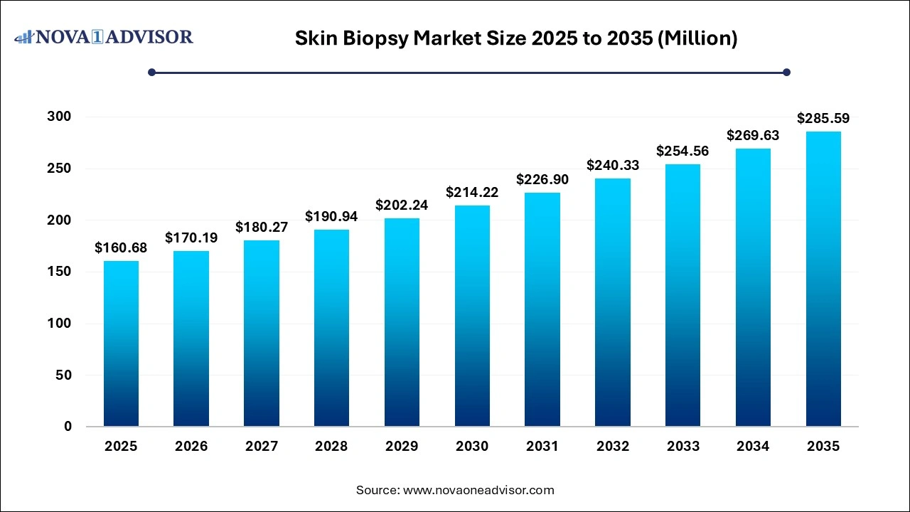 Skin Biopsy Market Size 2025 to 2035