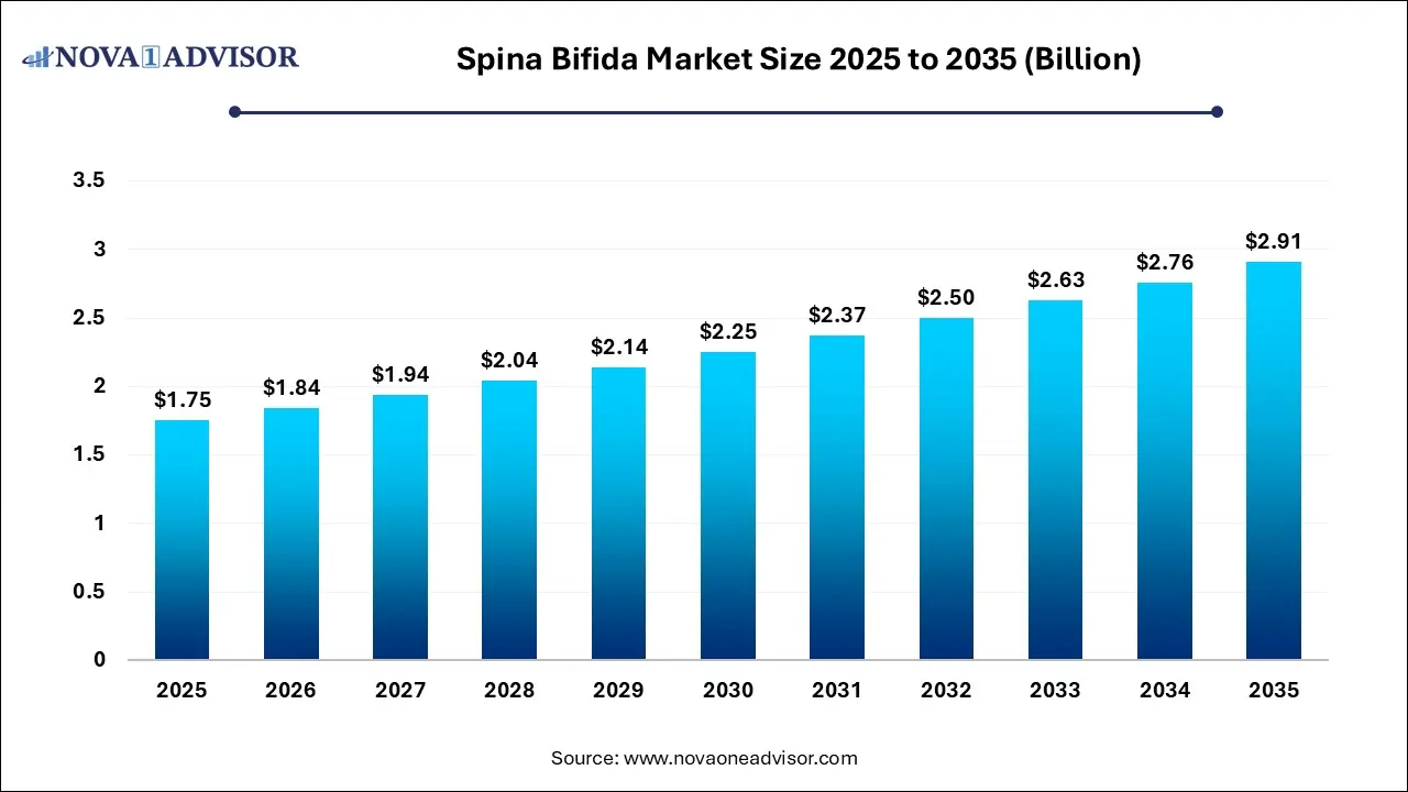 Spina Bifida Market Size 2025 to 2035