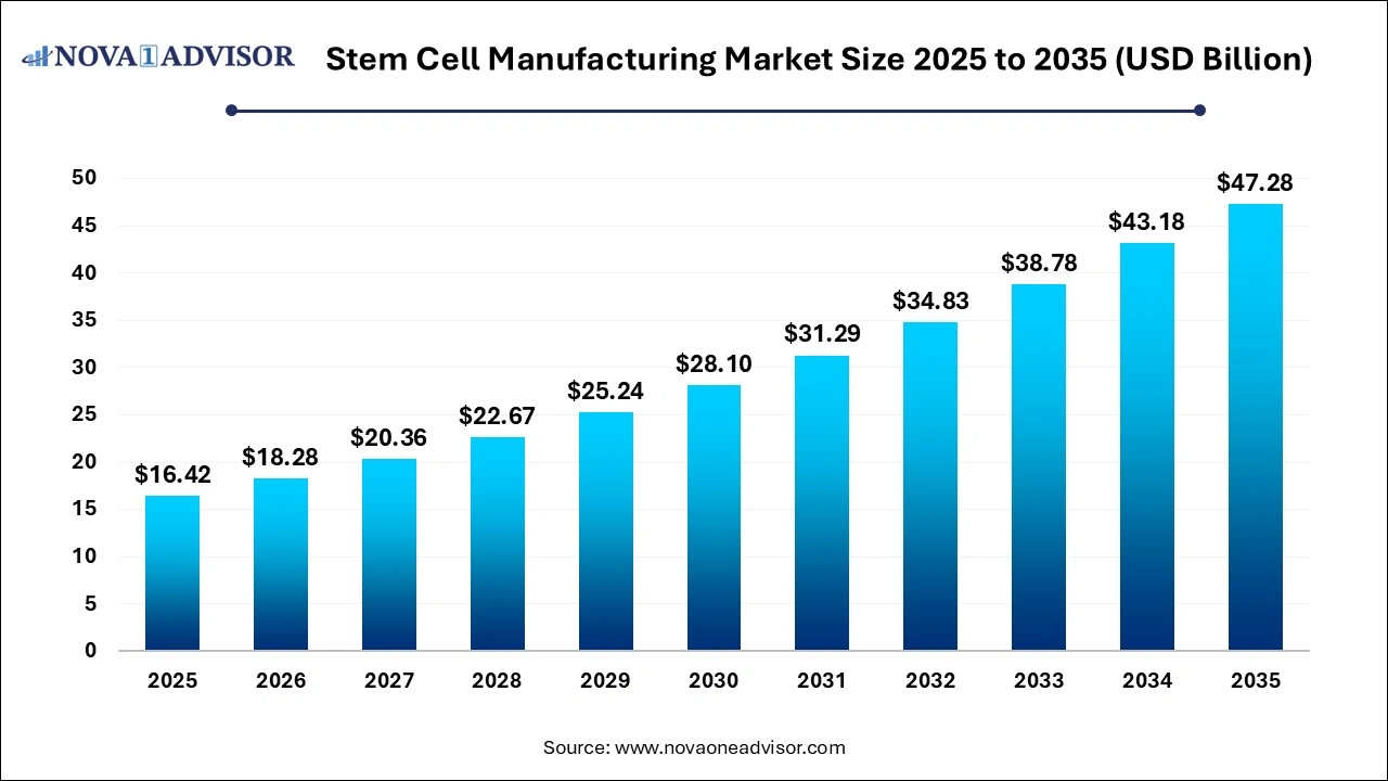 Stem Cell Manufacturing Market Size 2025 to 2035