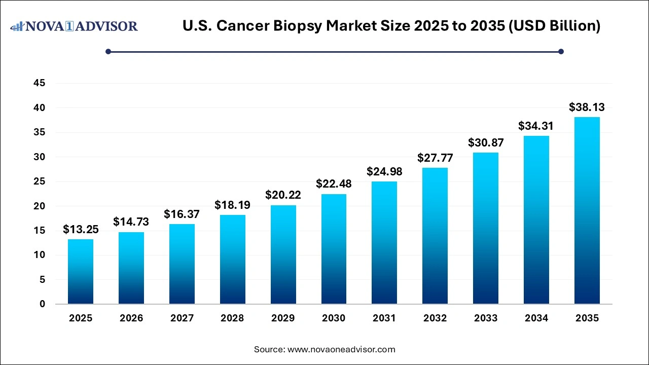 U.S. Cancer Biopsy Market Size 2025 to 2035 U.S. Cancer Biopsy Market Size 2025 to 2035