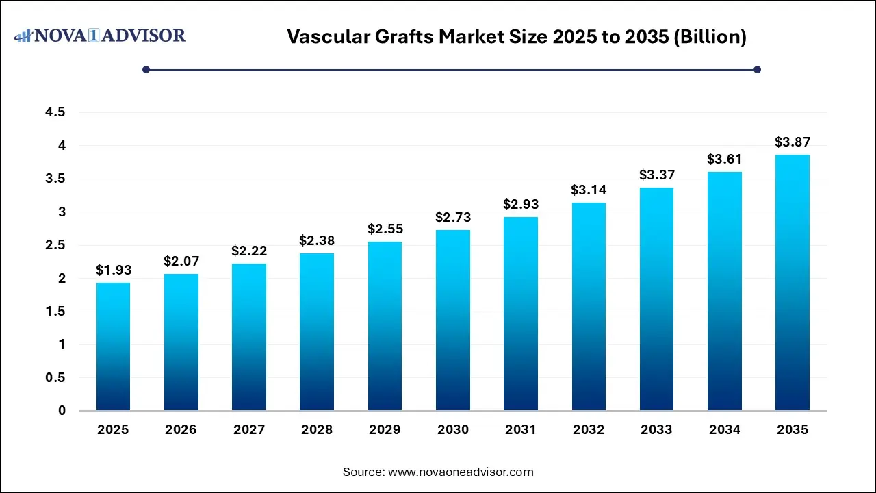 Vascular Graft Market Size 2025 To 2035 Vascular Graft Market Size 2025 To 2035
